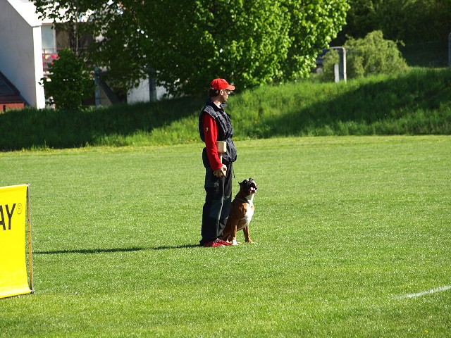 www.atibox.net * www.euroboxer.eu * www.boxergenealogia.eu